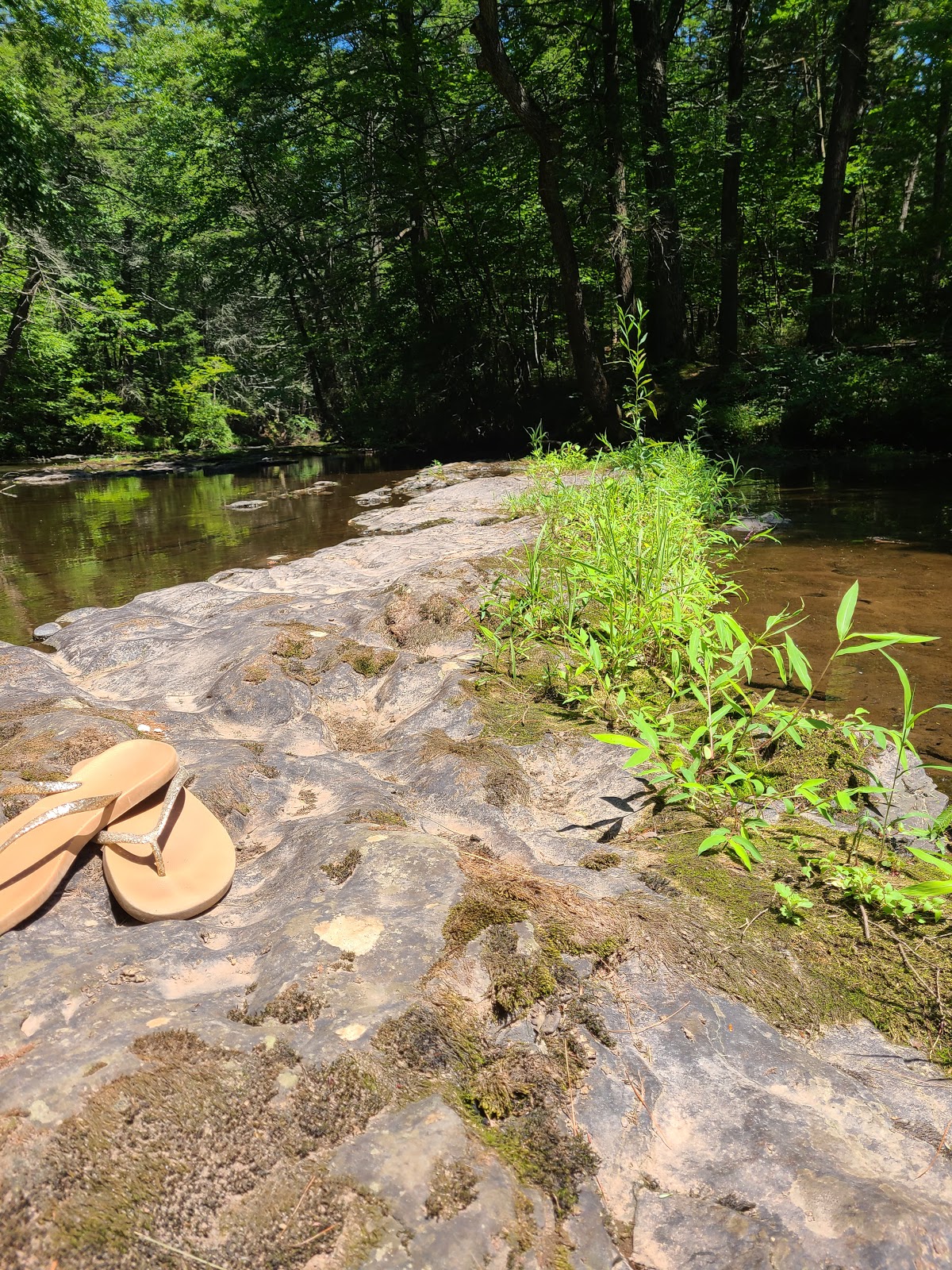 Rip Van Winkle Campgrounds Inc