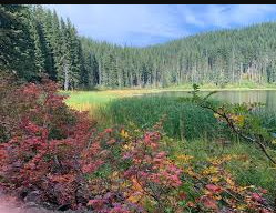 Marion McCollum Lake Greenlee