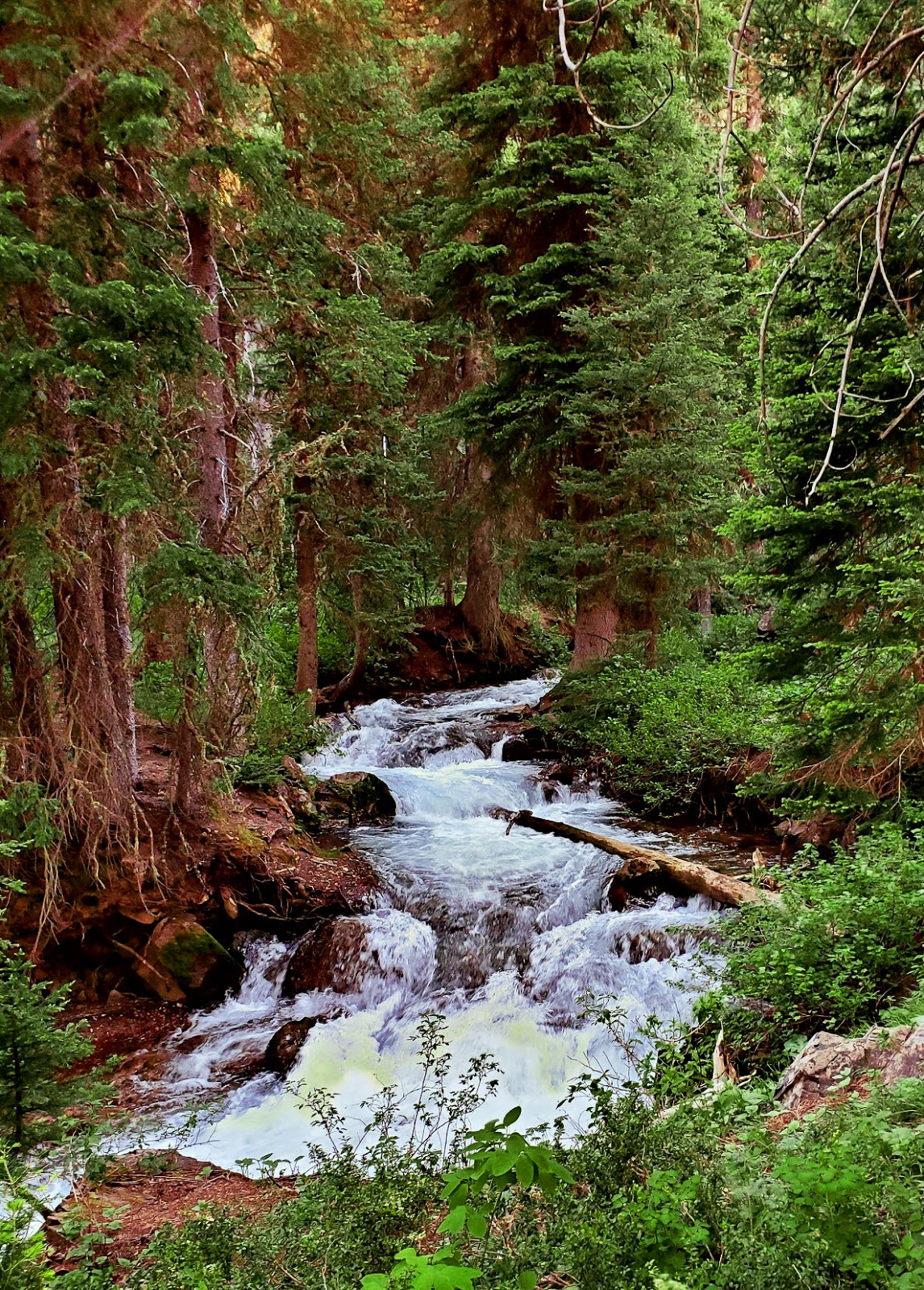 Cottonwood Lake Campground