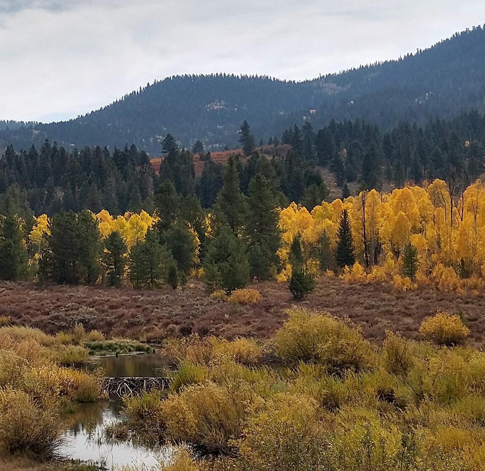 Soapstone Campground