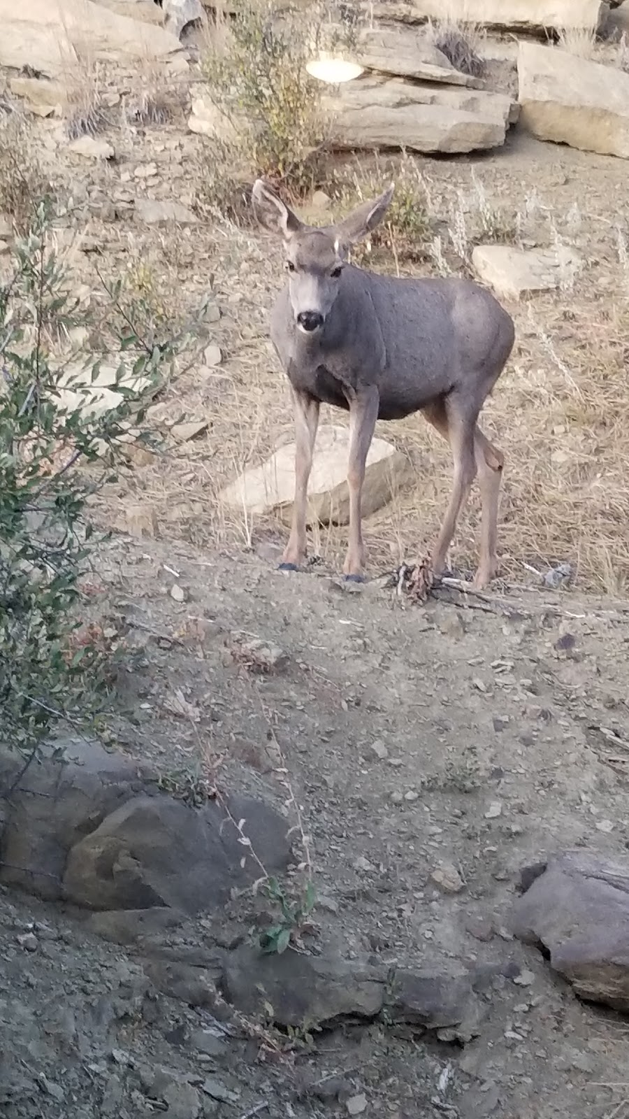 Cedar Rail RV Park & Campground