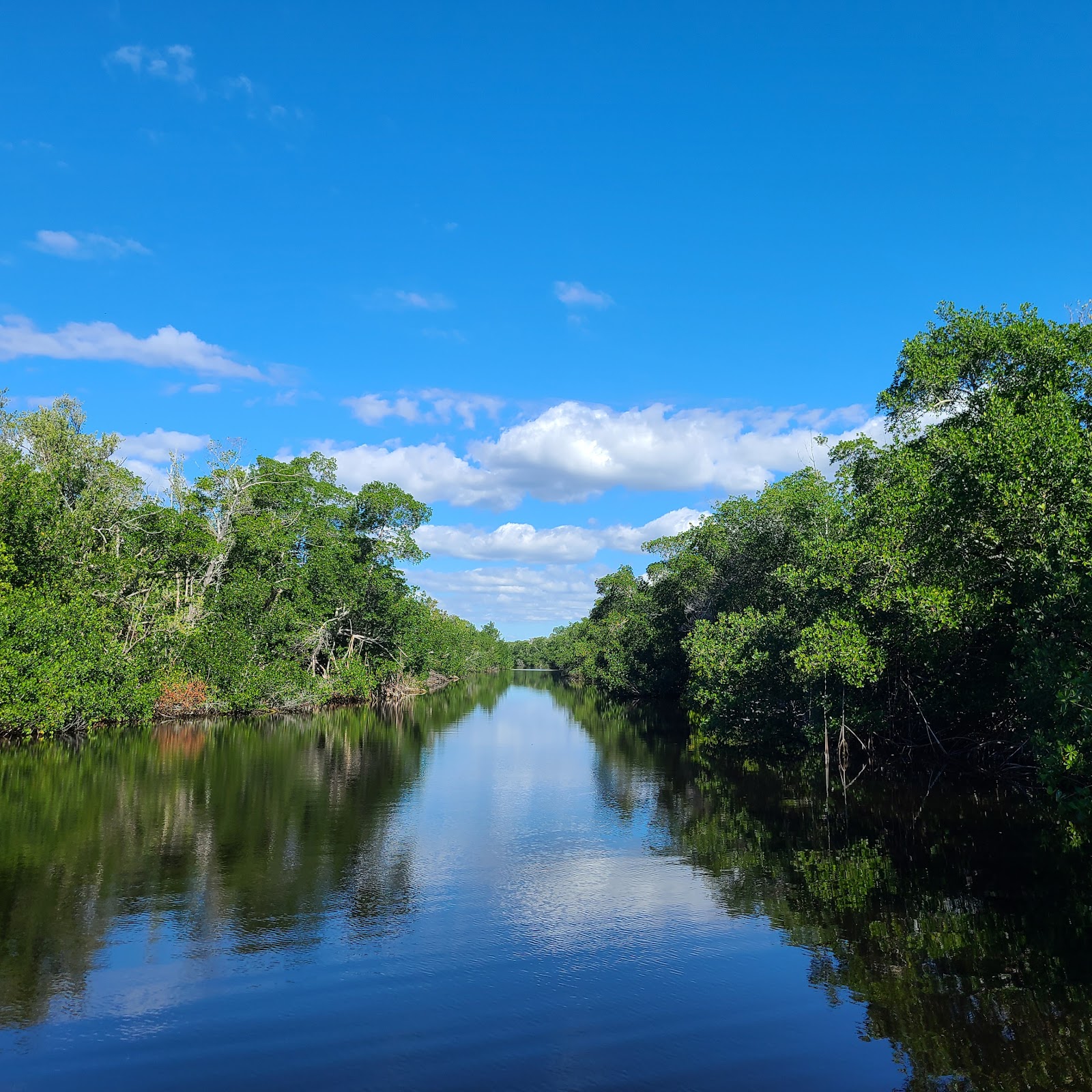 The Everglades, Flamingo Campground