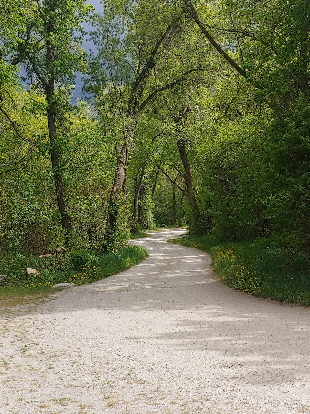 Box Elder Campground