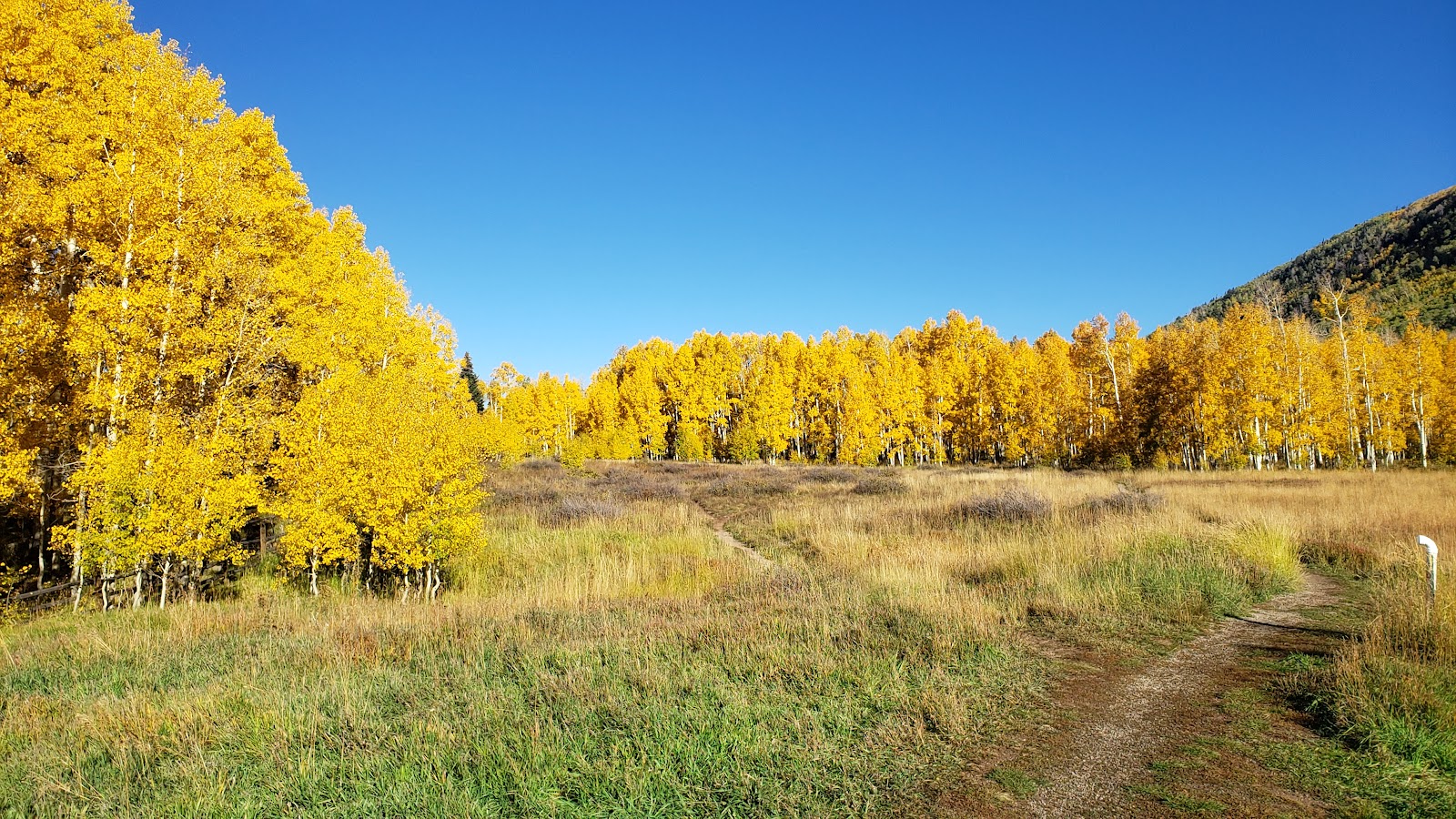 Warner Lake Campground