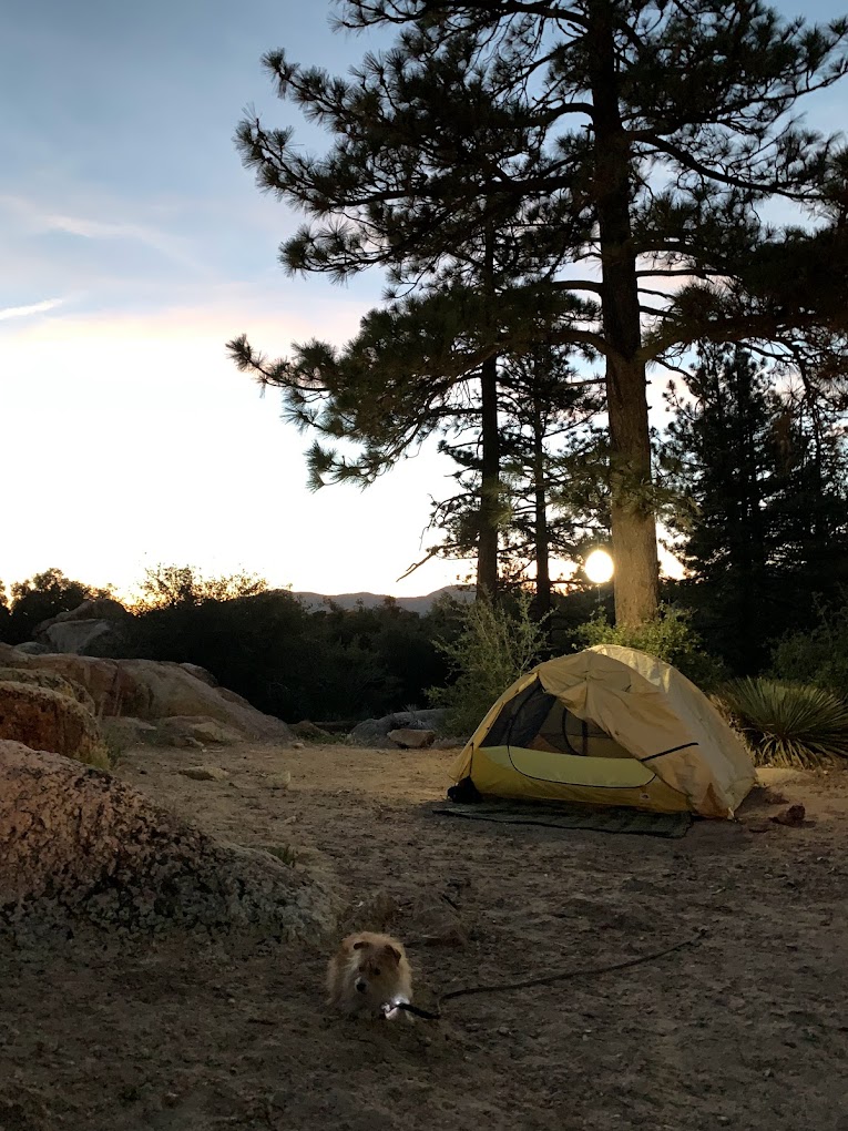 Coulter Group Campground