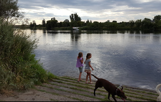 Horn Rapids Park Camping