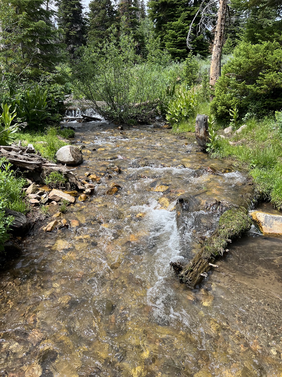 Bennett Springs Campground