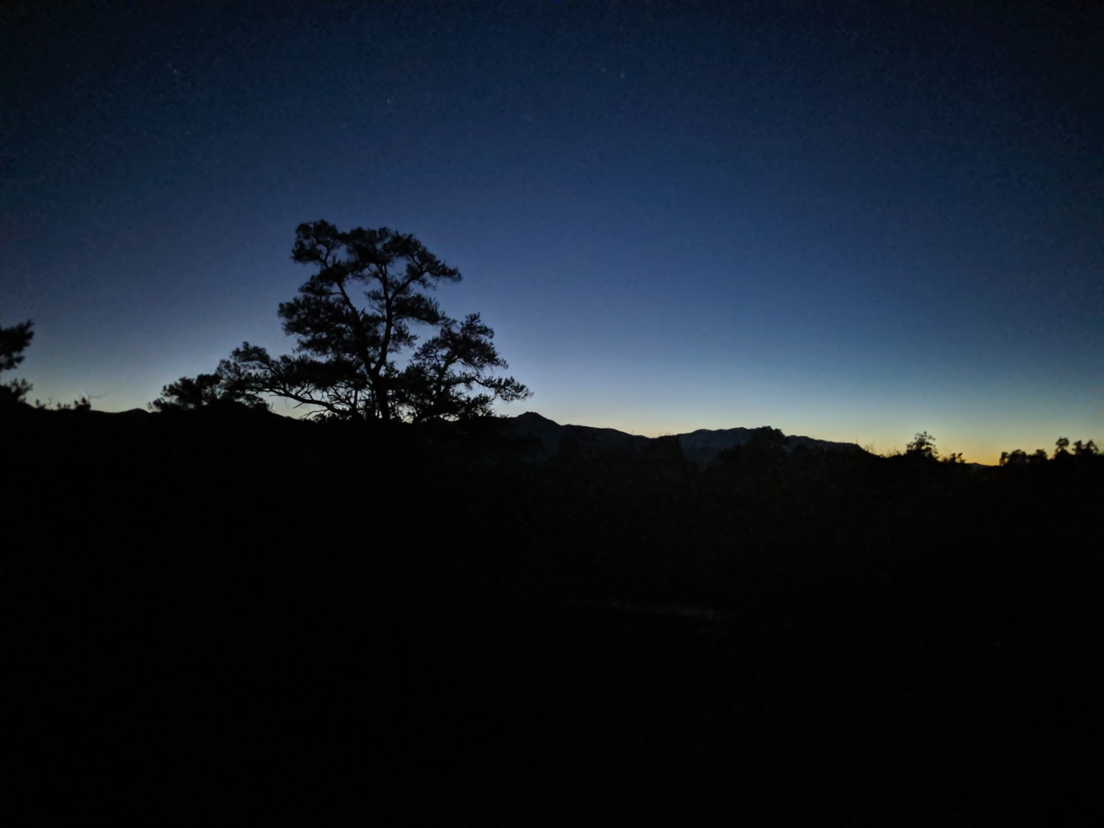 Pinyon Flat Campground