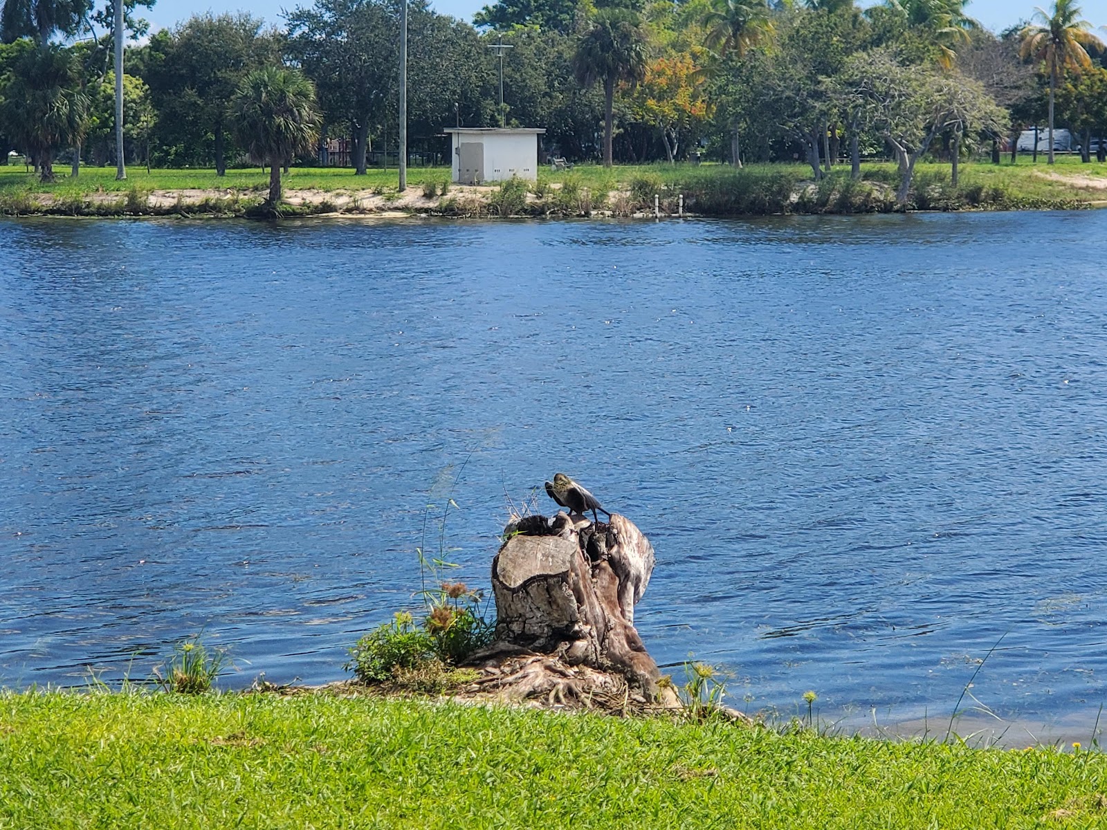 Camping Resort of the Palm Beaches