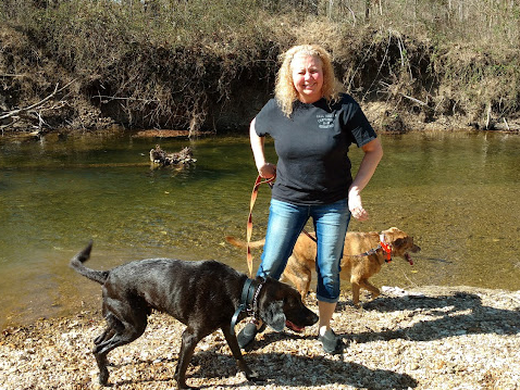 Fall Hollow Campground and B&B