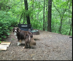 Timberlake Campground and RV Park