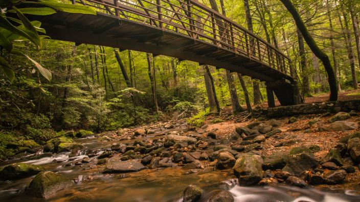 Jones Gap State Park Campground