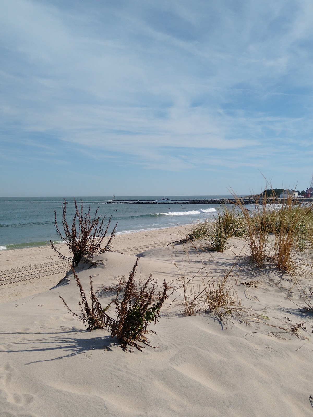 Delaware Seashore State Park