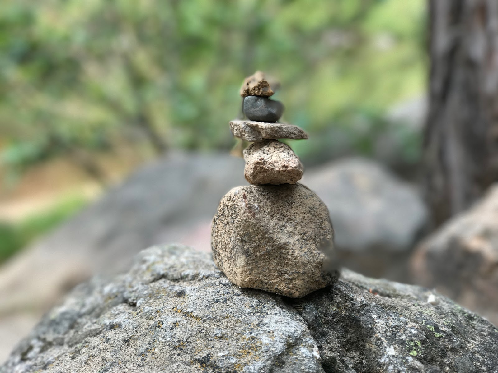 Silver Fork Campground