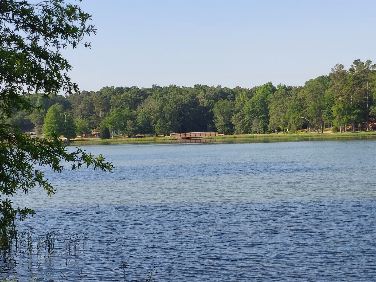 Craighead Forest Trail
