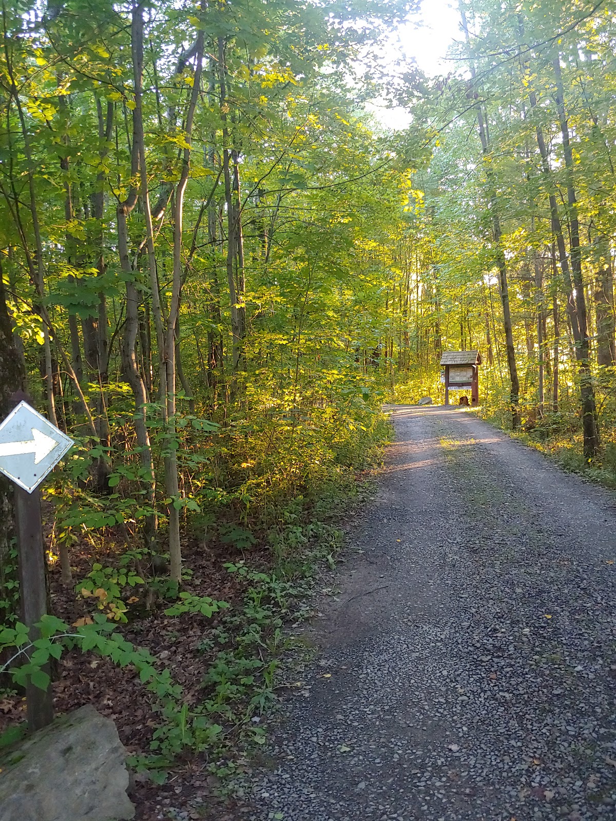 Blueberry Patch Campground