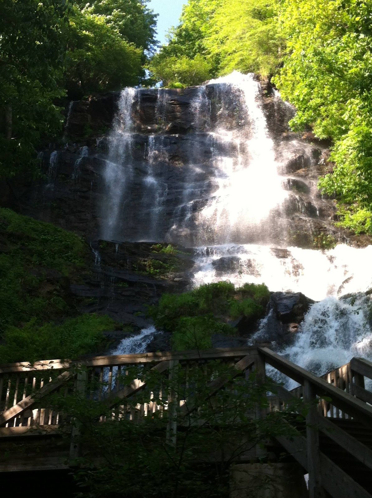 Under the Hemlock LLC