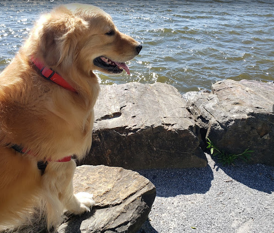 Hibernia County Park