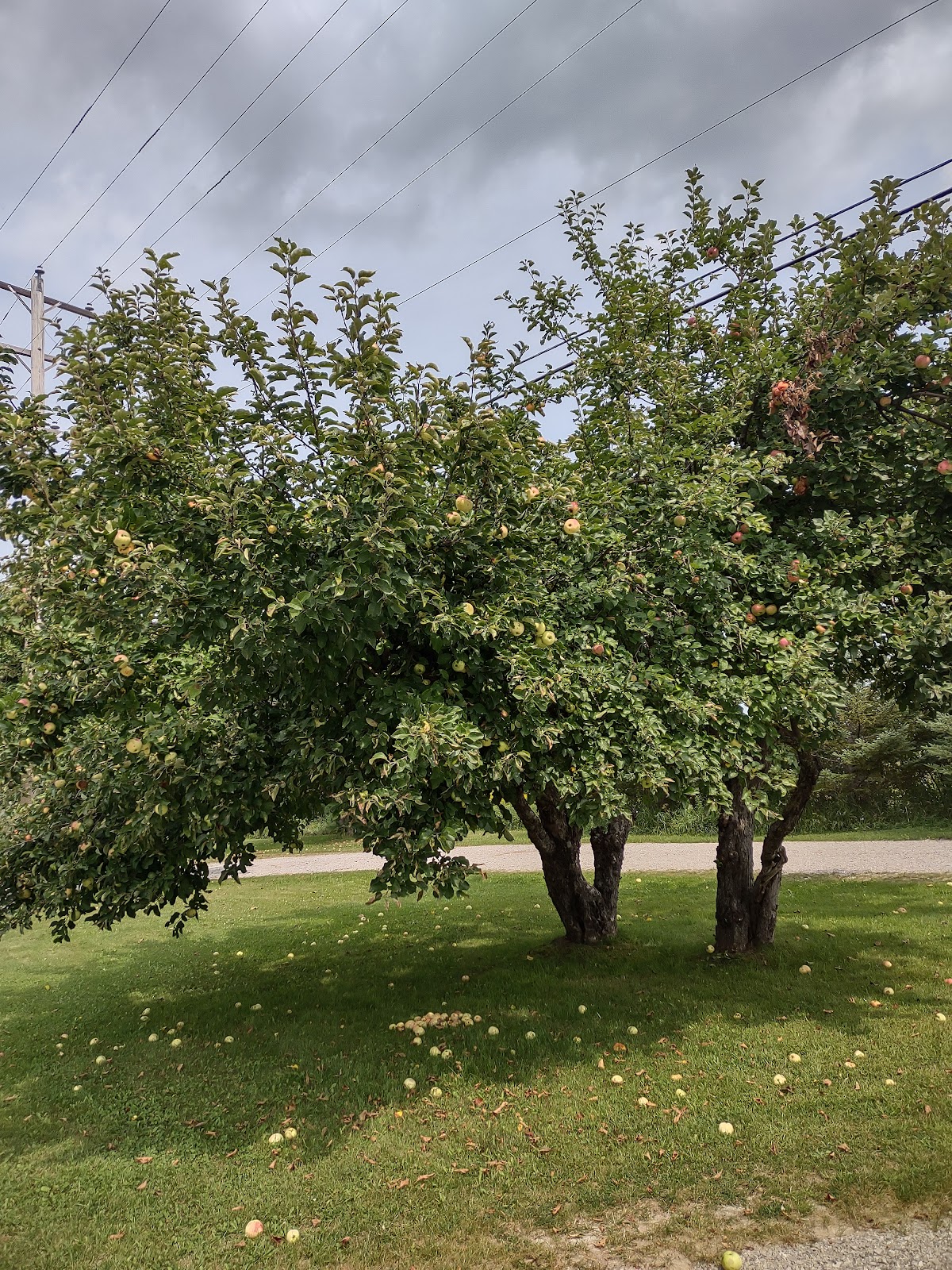 Waterways Campground