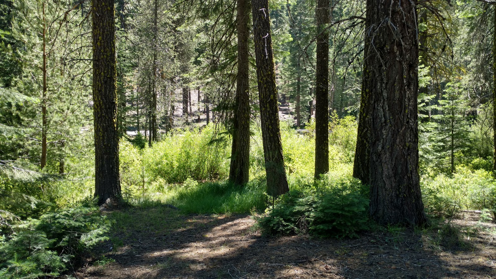 Gurnsey Family and Group Campground