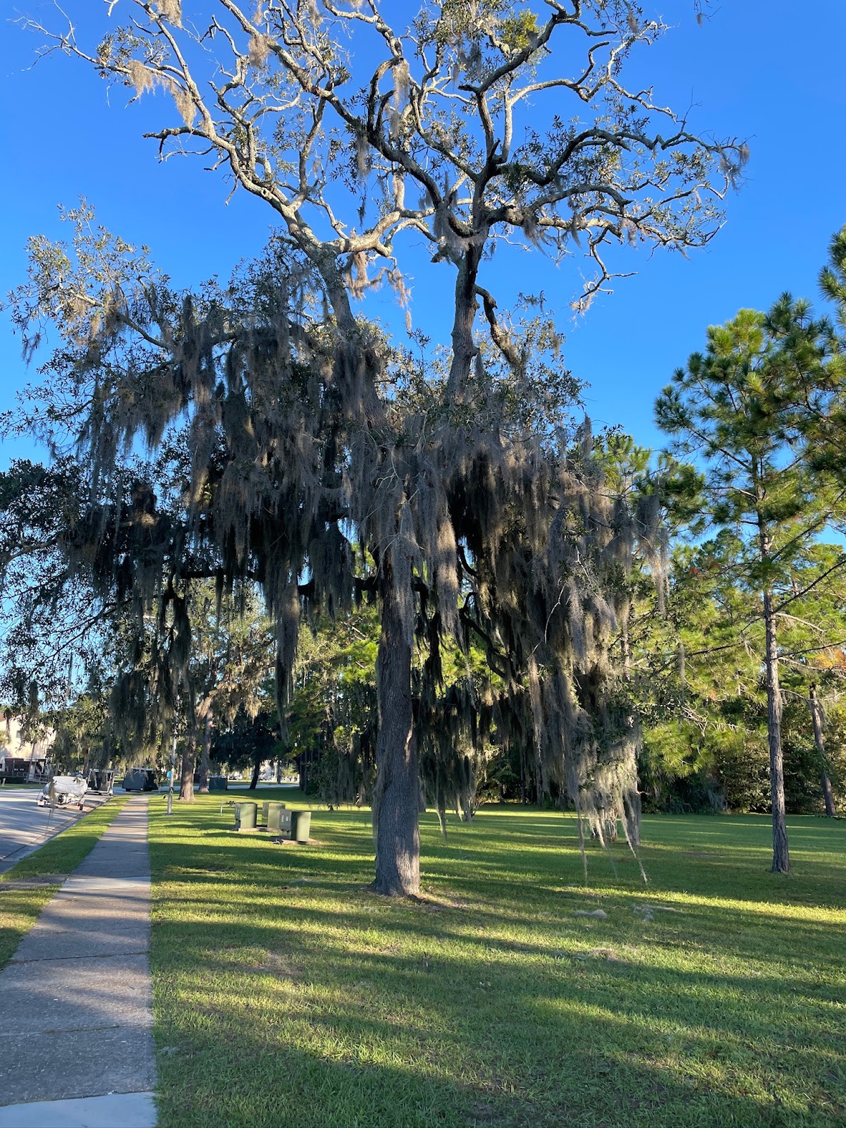 Jacksonville RV Park