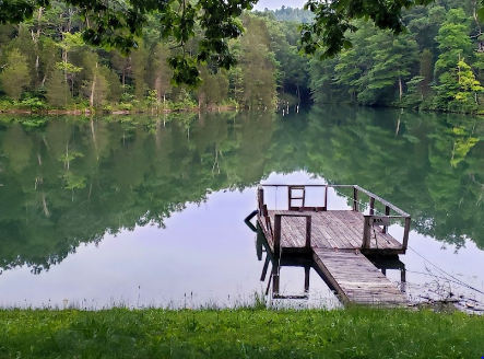 Mineral Springs Lake Resort