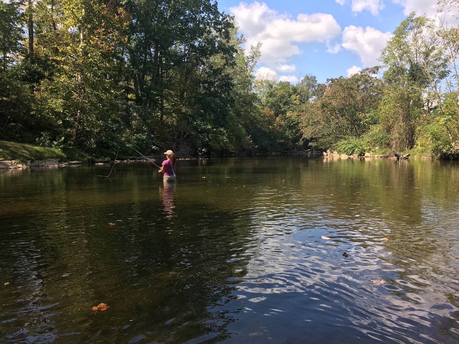 Birds Creek Campground