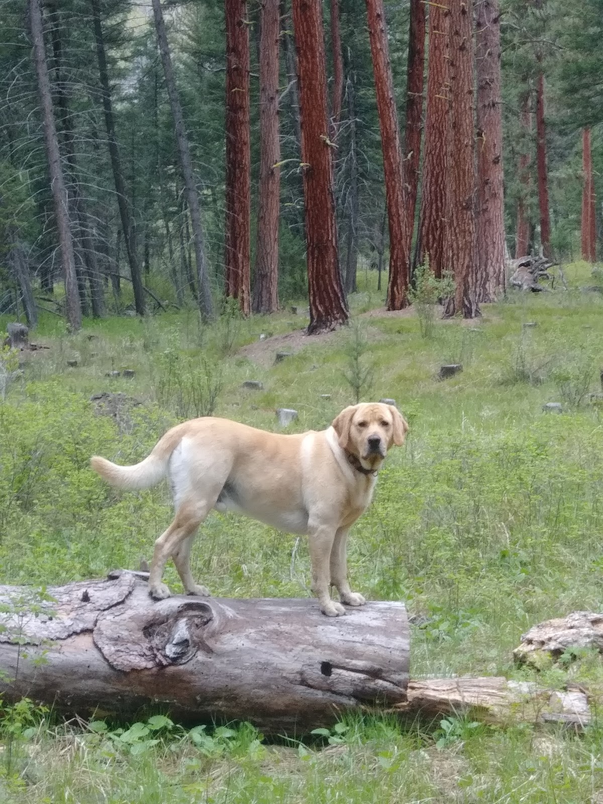 Camp Siria Campground