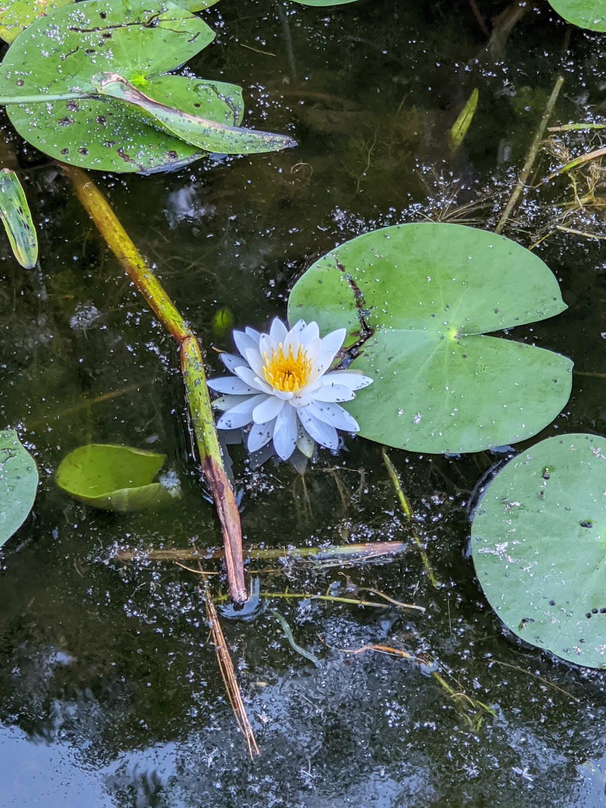 Sandy Pond Campground Inc
