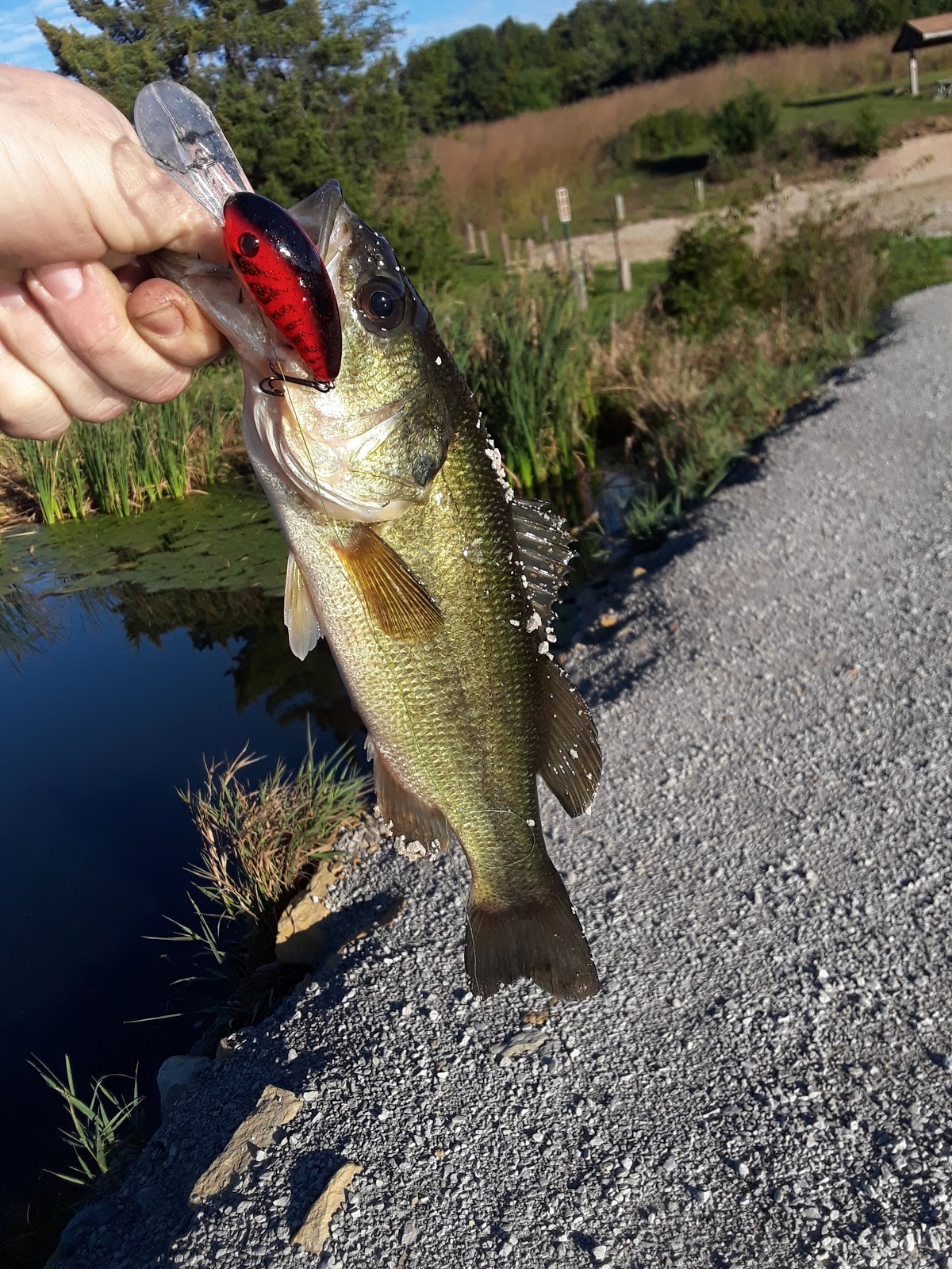 Criss Cove Campground