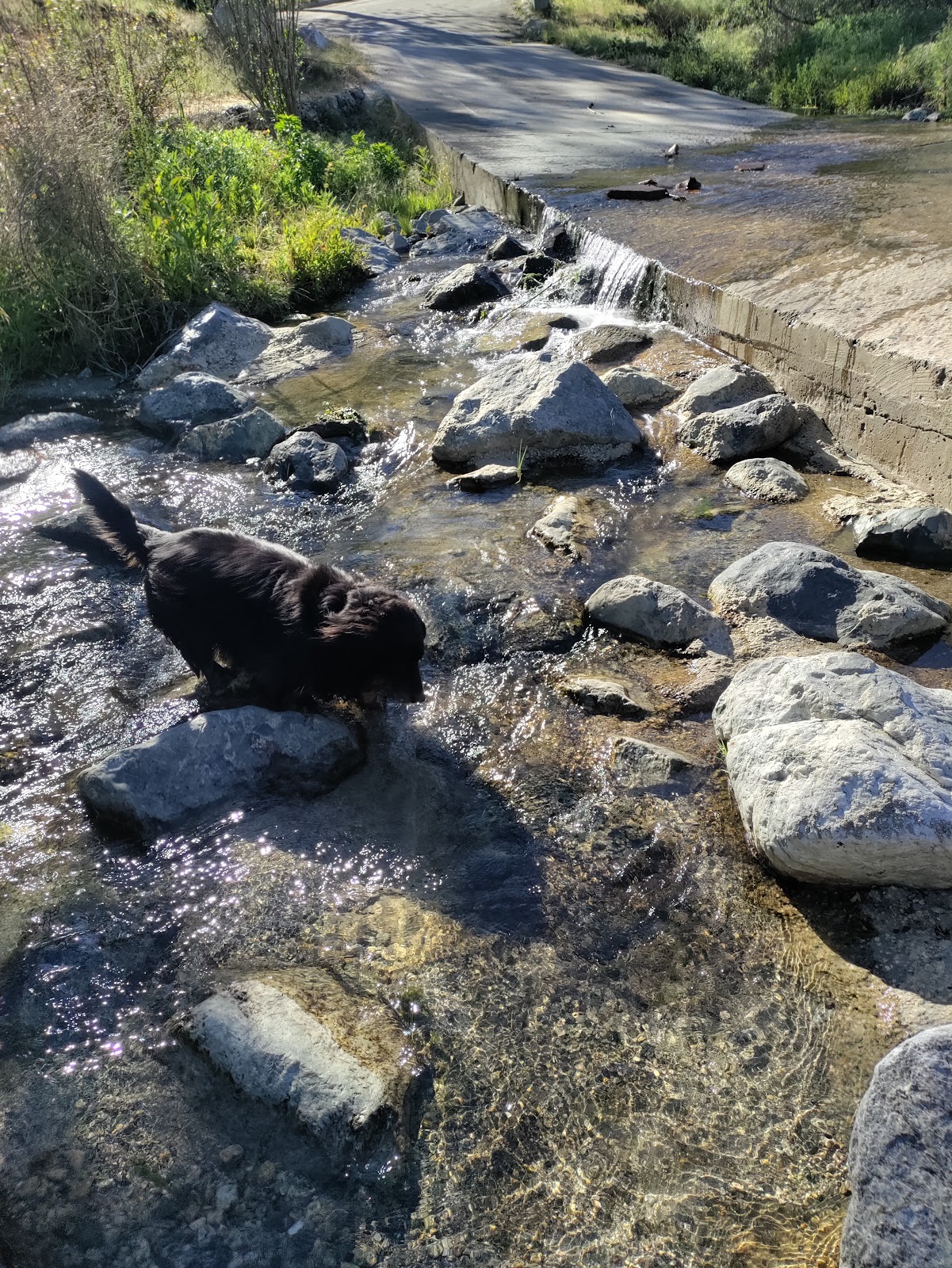 Monte Cristo Campground
