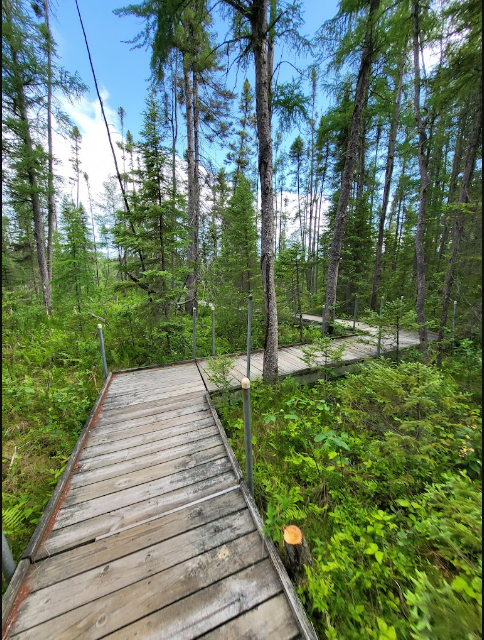 Lake Bemidji State Park