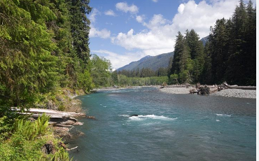 HOH River Resort & RV Park