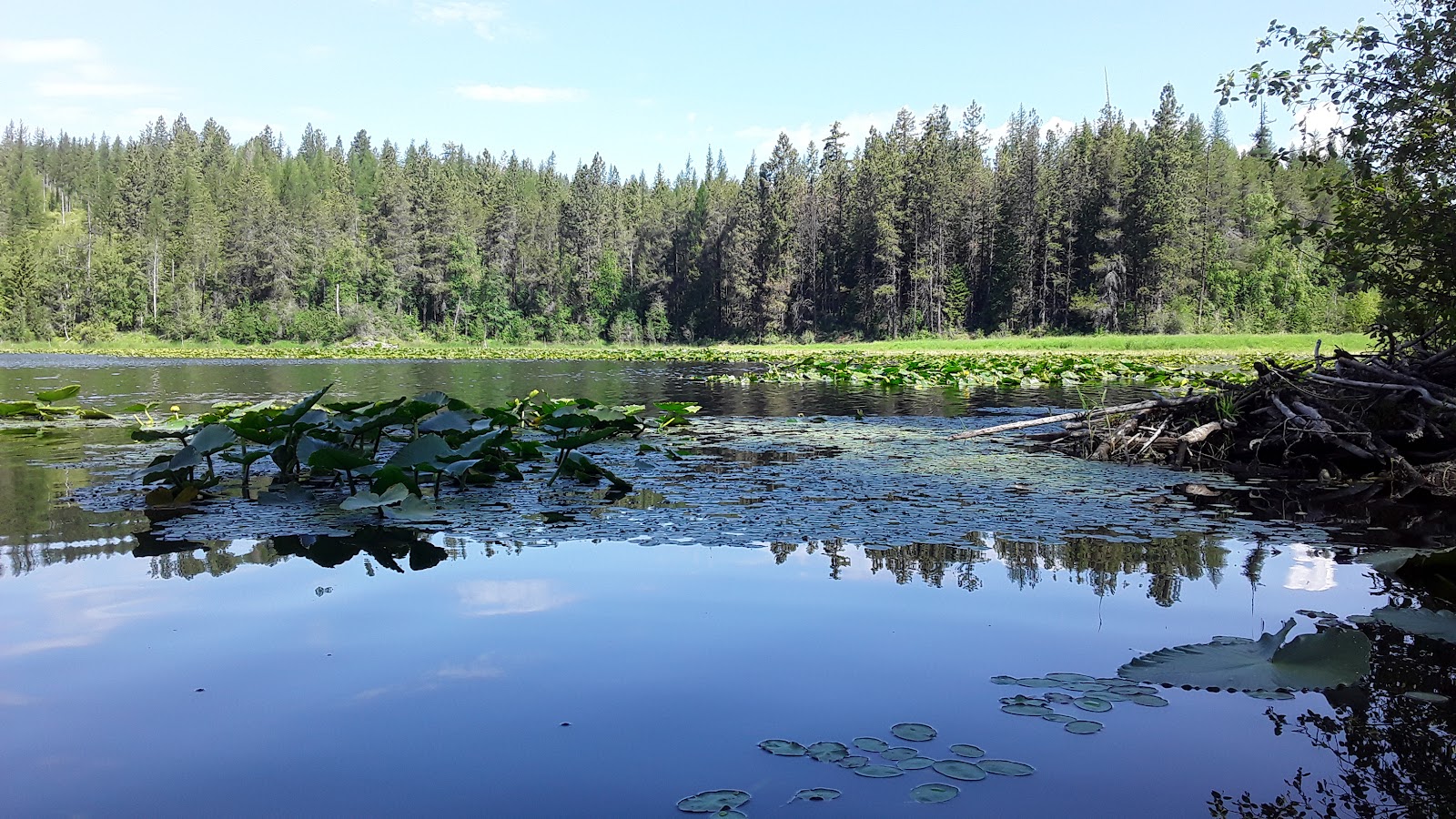 Brush Lake Campground