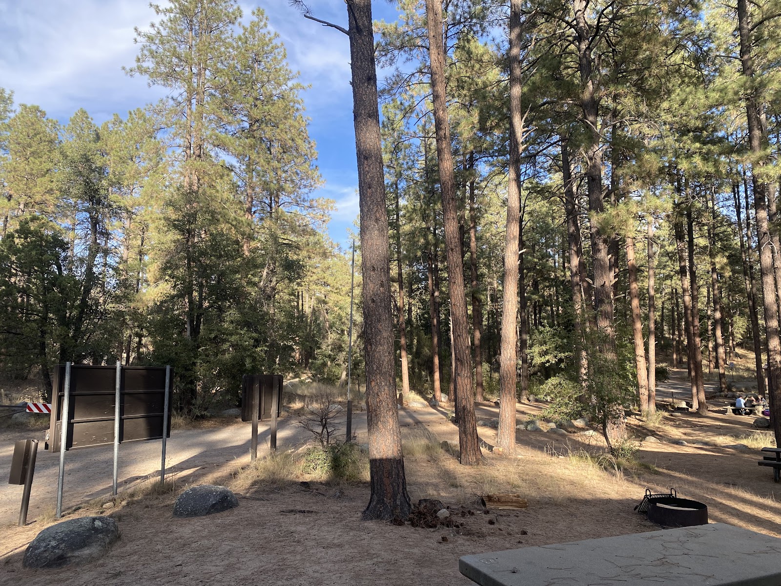 Lower Wolf Creek Campground