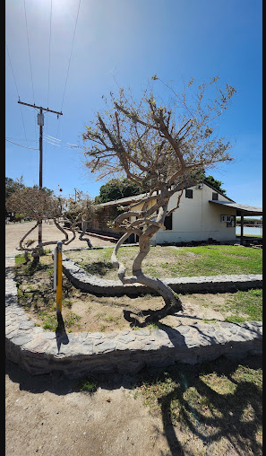 Wiest Lake County Park