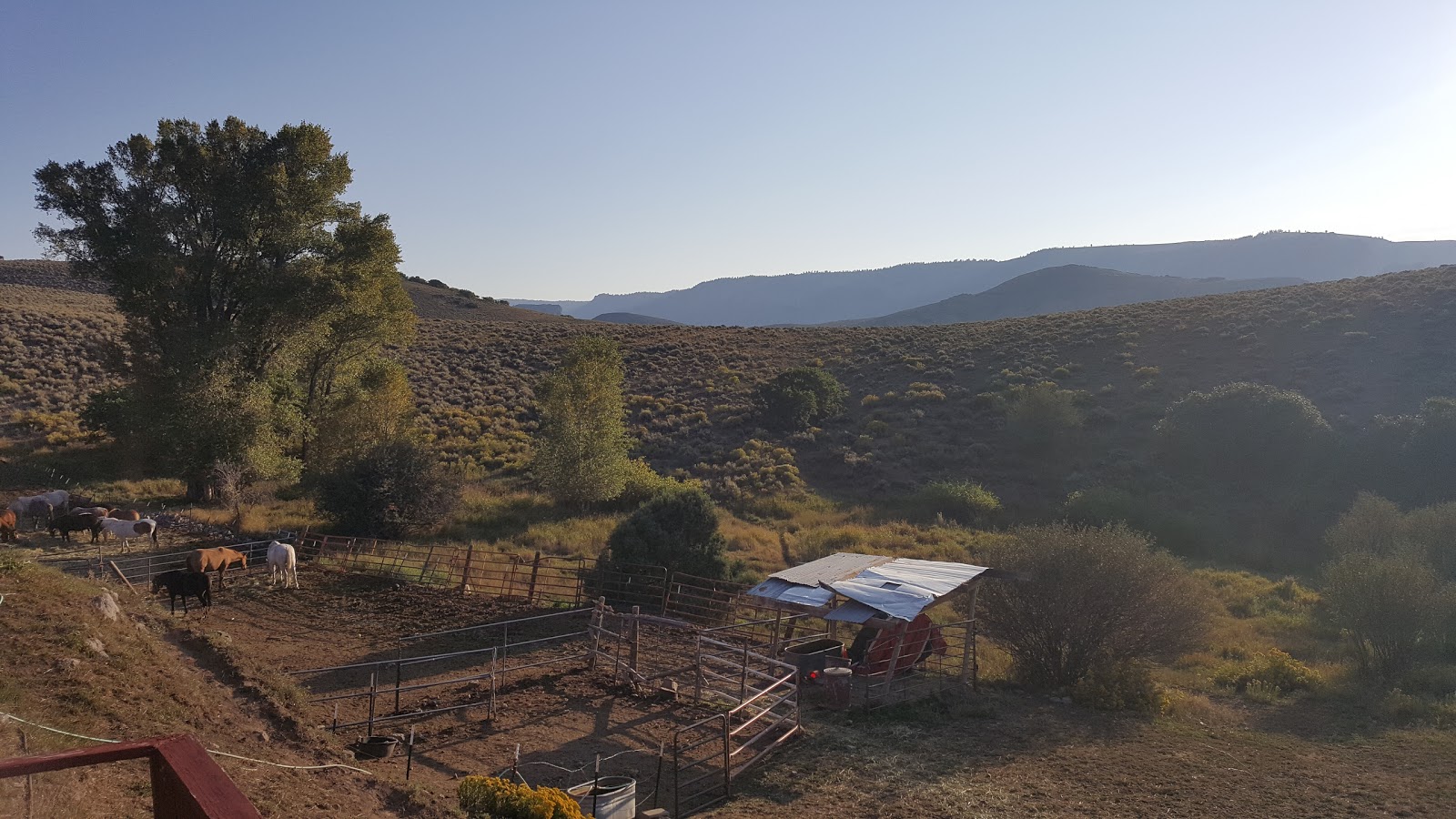 Ferro's Blue Mesa Ranch