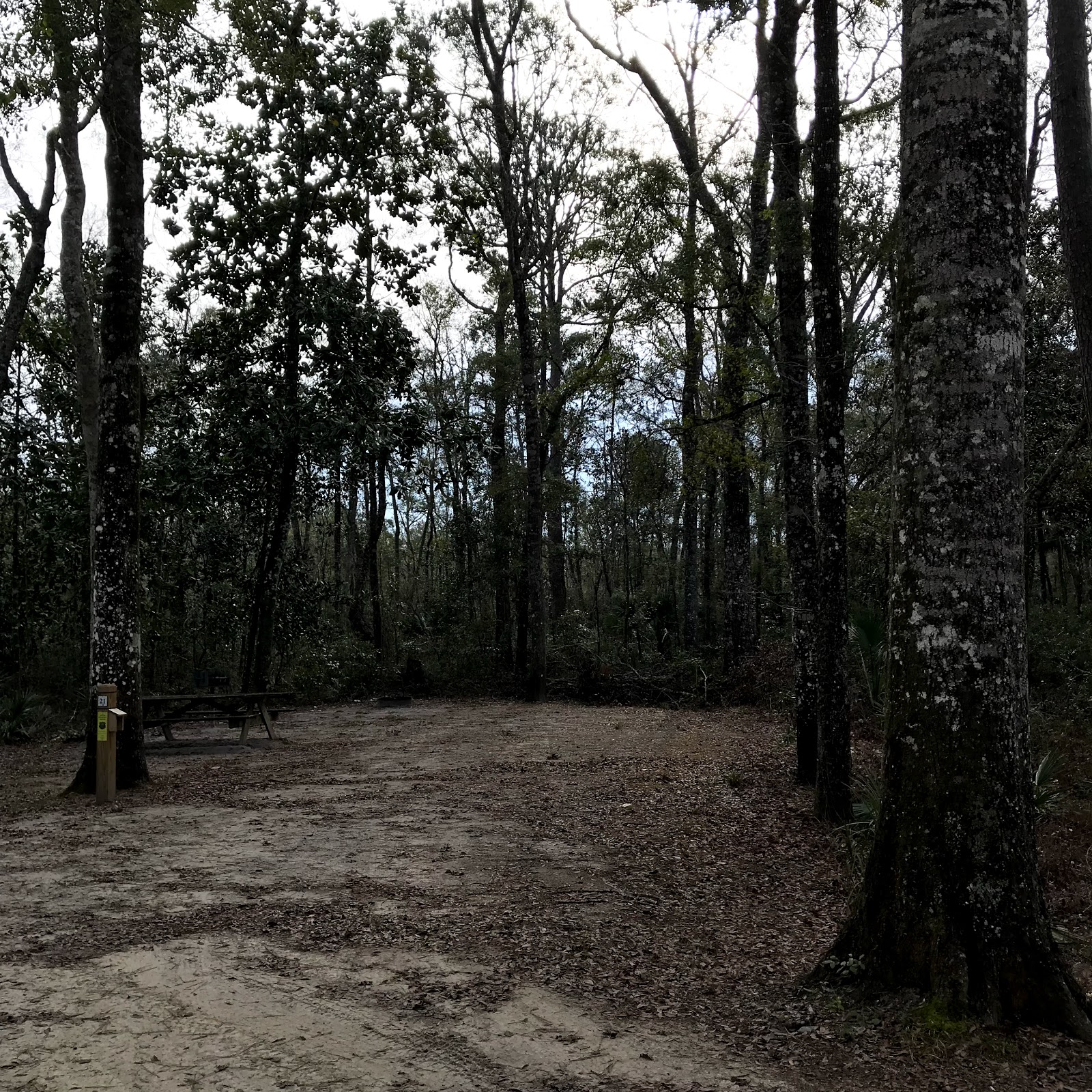 County Line OHV Campground