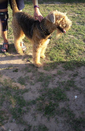 Southern Comfort RV Resort