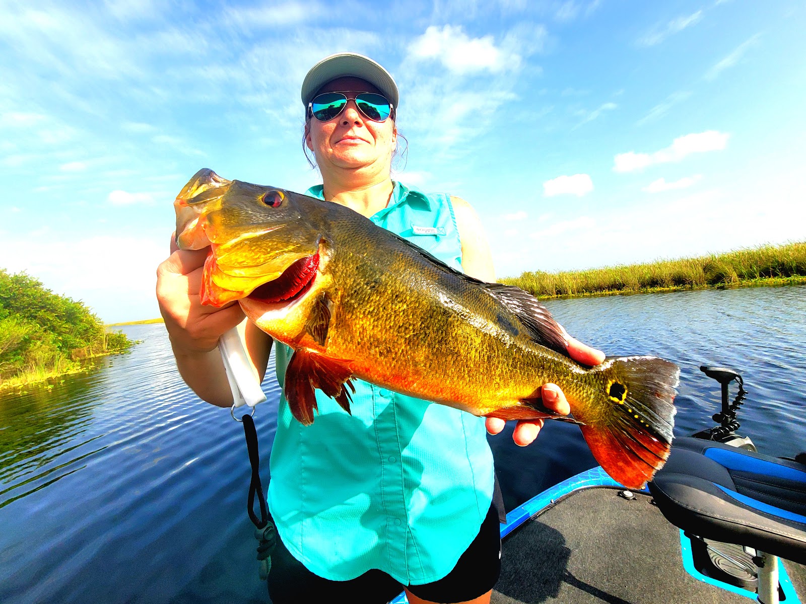 Savannah South – KOA