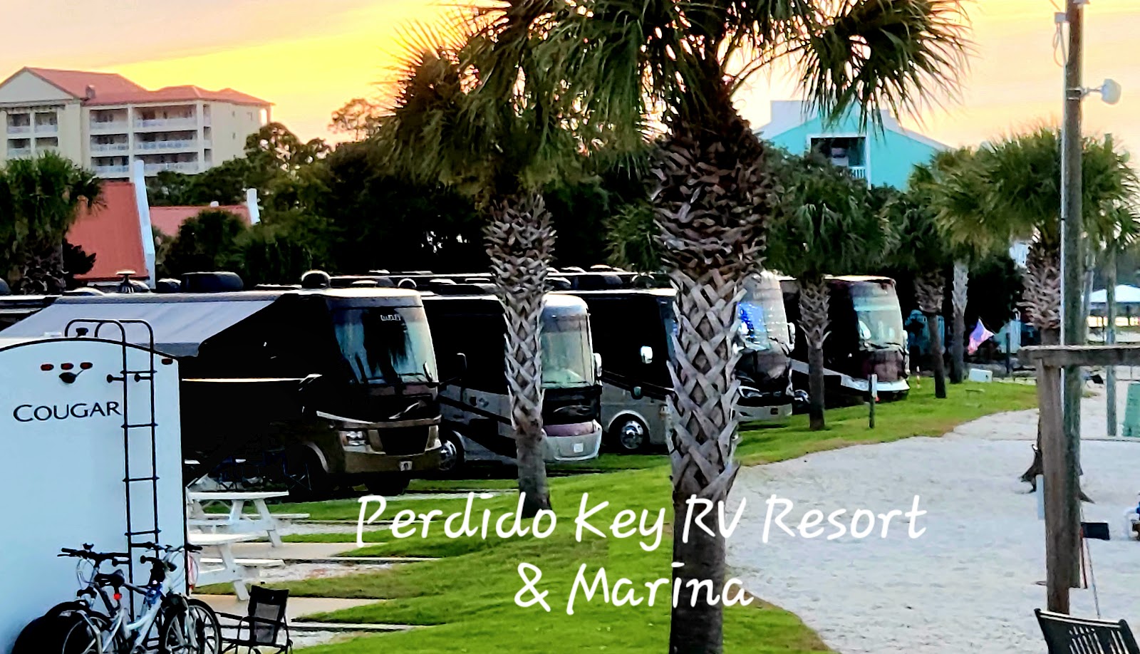 All Star Campground / Perdido Key