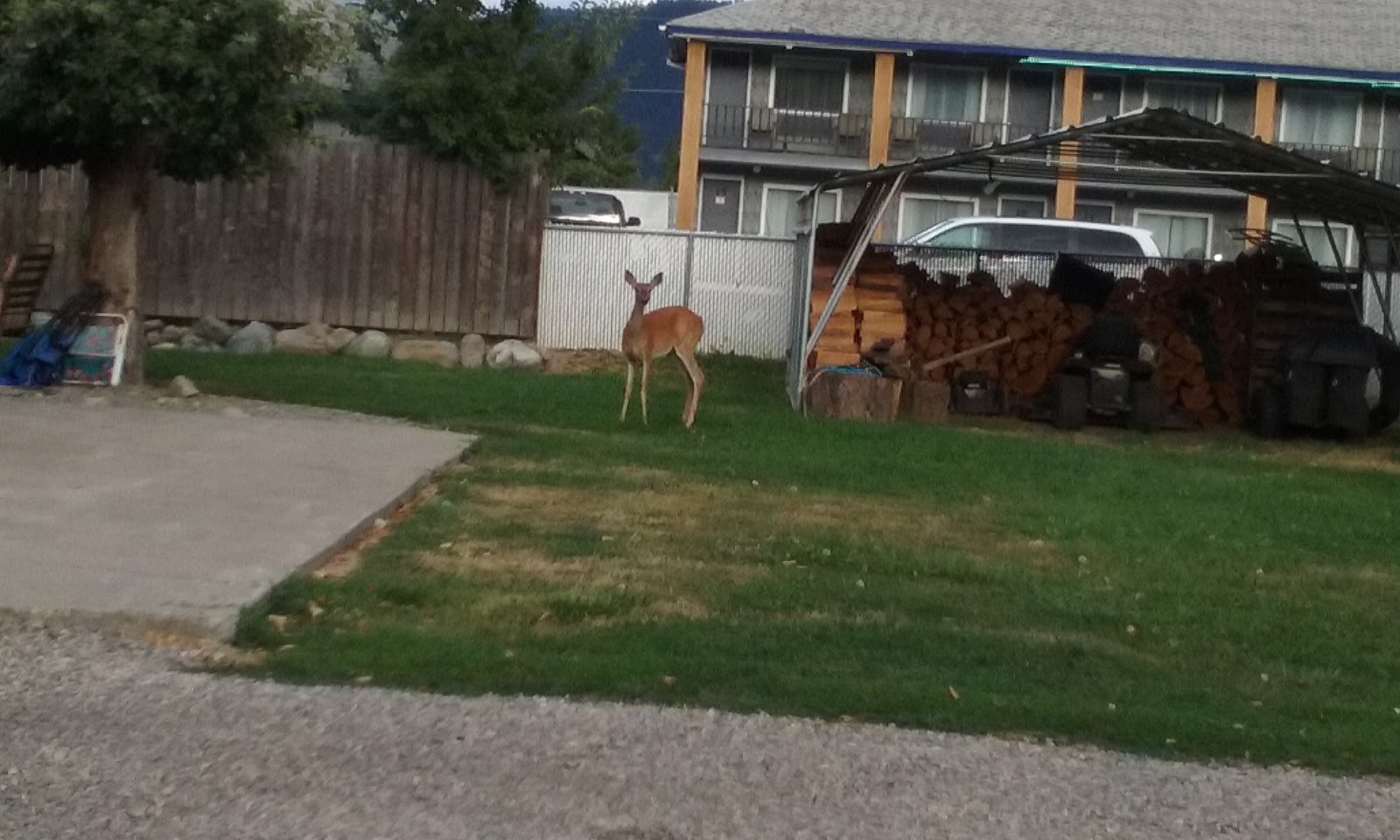 Two-Bit Outfit RV Park