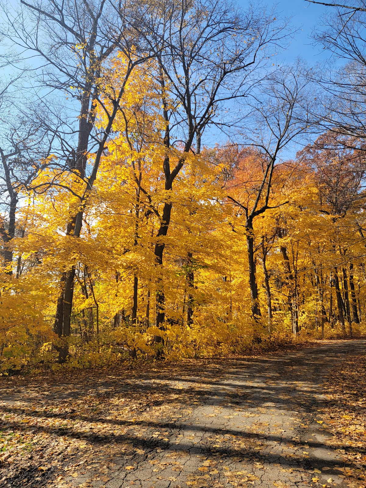 Racine County-Sanders Park