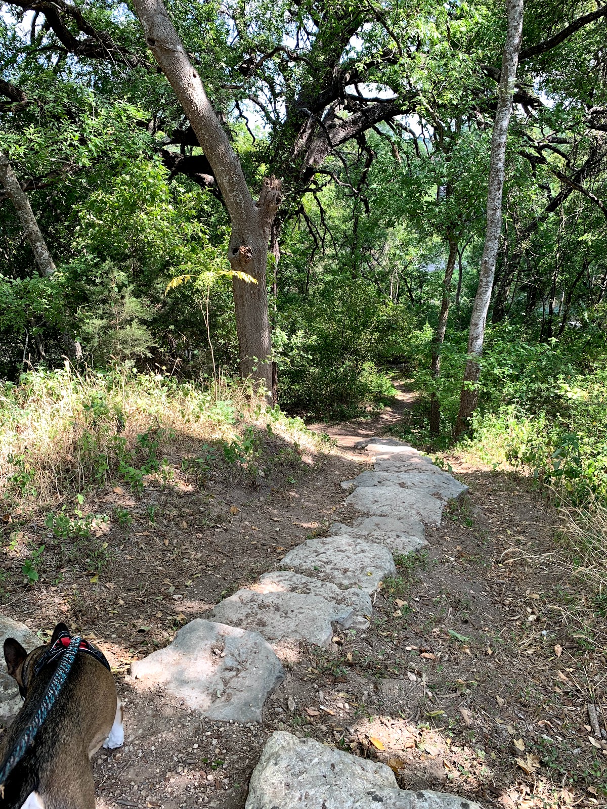 Canyon Lake Guadalupe River RV