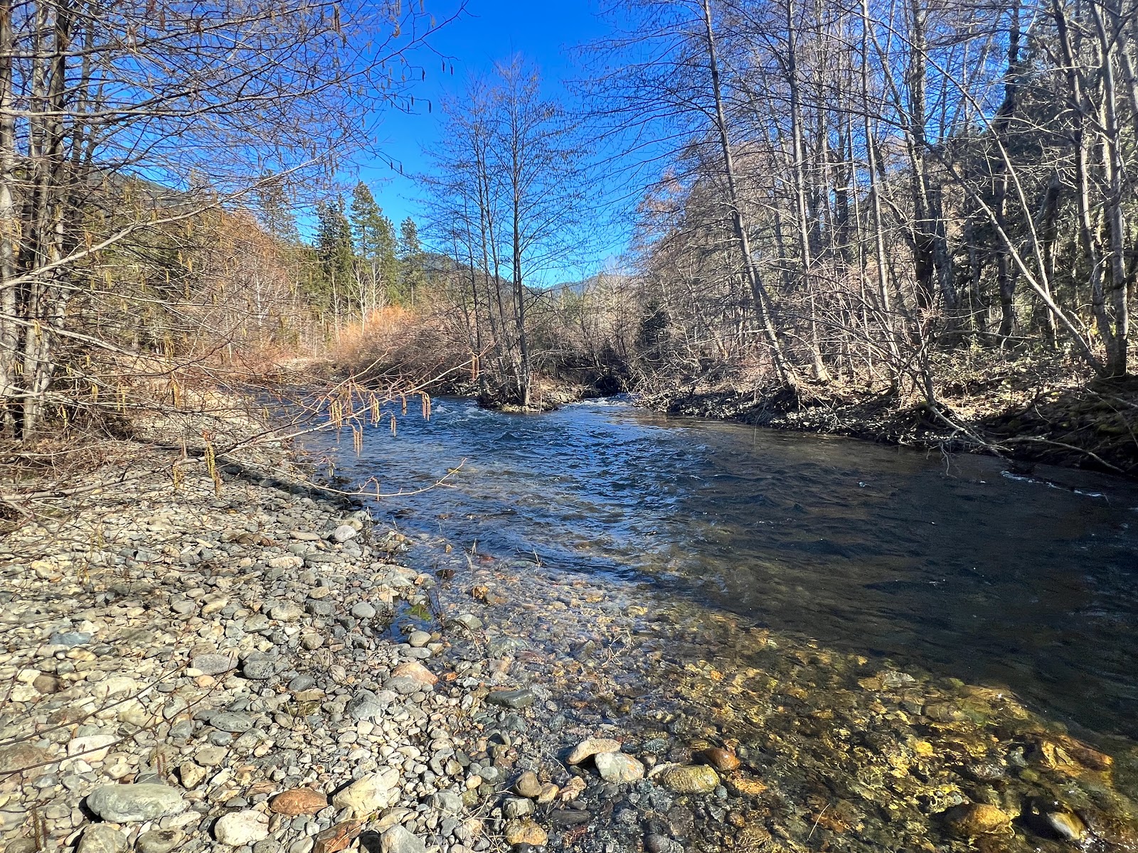 Country Hills Resort