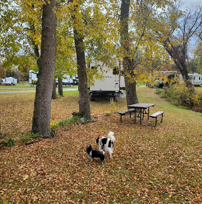 James N McNally City Campground