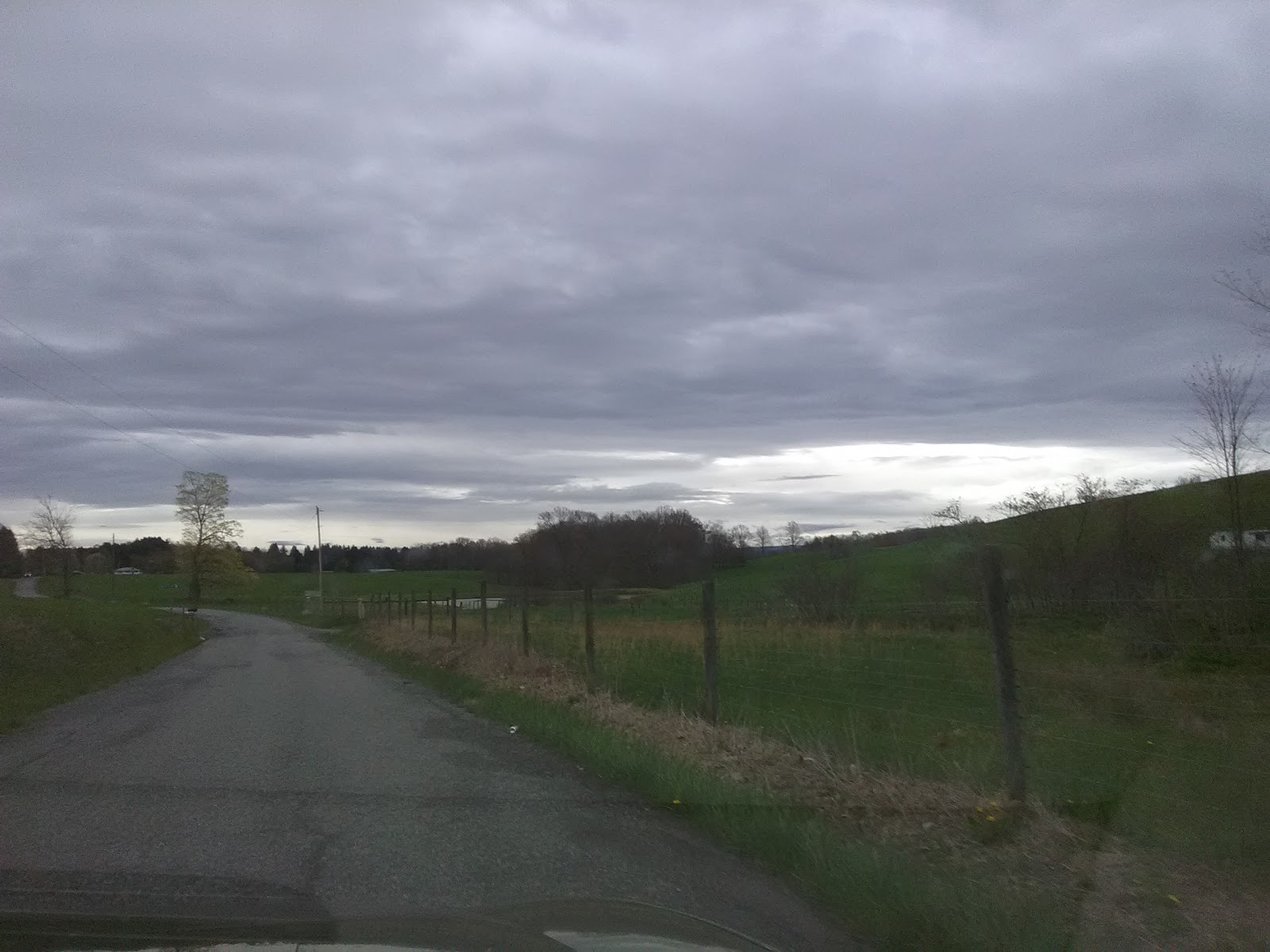 Five Pines Camping & Recreation