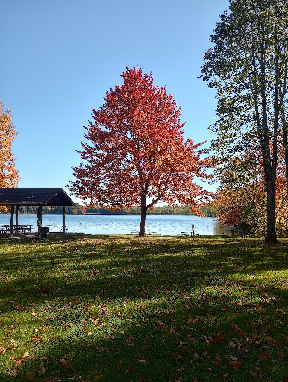 Veterans Memorial Park Langlade County Park