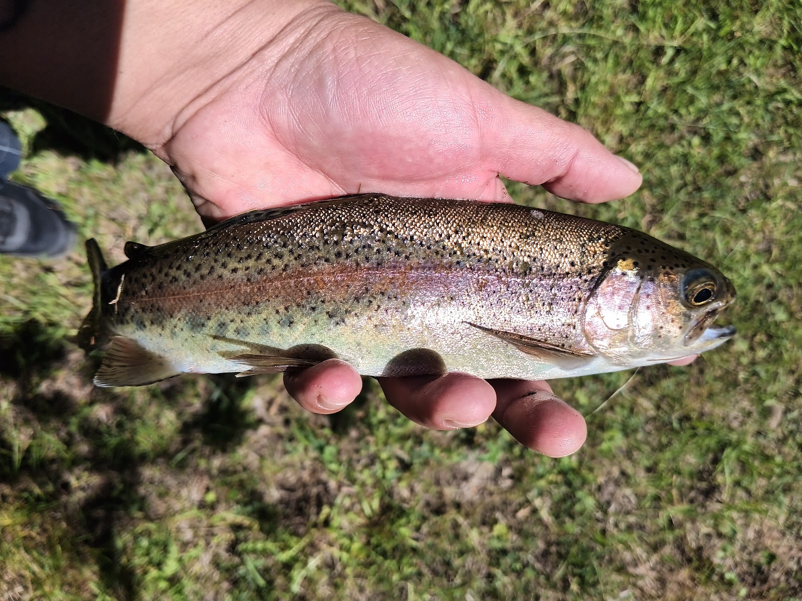 Ash Creek Campground