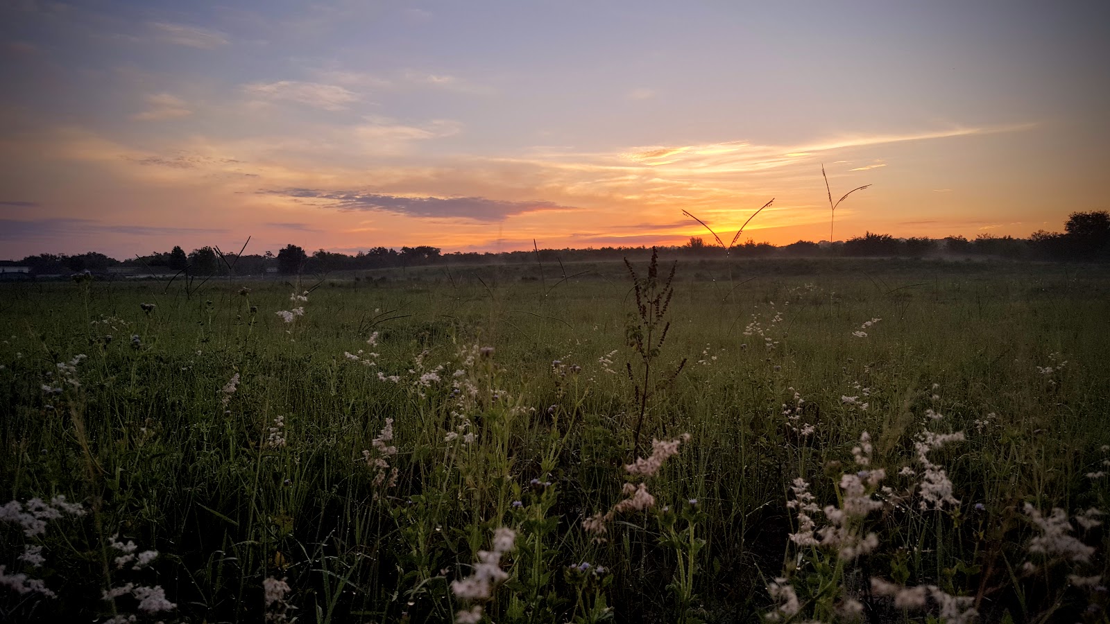 Great Oak Campground